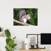 Squrrel Eating Brot Poster (Heimbüro)