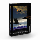 SR-71 Blackbird HIGH RANGERS Fotoblock (Links)