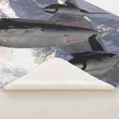 SR-71 BLACKBIRD SPY-FLUGZEUG SHERPADECKE (3/4)