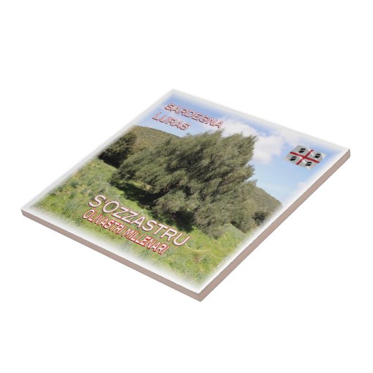 SRD007 LURAS Millenniums-Olivenbäume, Fliese (Seite)