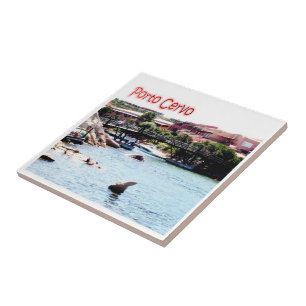 SRD051 PORTO CERVO, Sardinien, Italien, Fliese