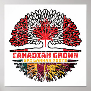 Sri Lanka: Kanadische Baumwurzeln Poster