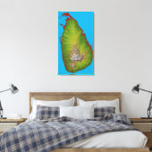 Sri Lanka Leinwanddruck (Insitu (Schlafzimmer))
