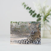 Sri Lanka Leopard Postkarte (Stehend Vorderseite)