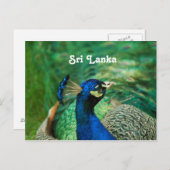 Sri Lanka-Pfau Postkarte (Vorne/Hinten)