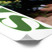 Sri Lanka Poster (Ecke)