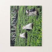 Sri-lanka-Teehersteller Puzzle (Vertikal)