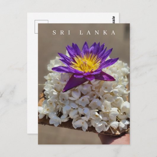 Sri Lanka Tempel-Blume mit Postkarte (Vorne/Hinten)