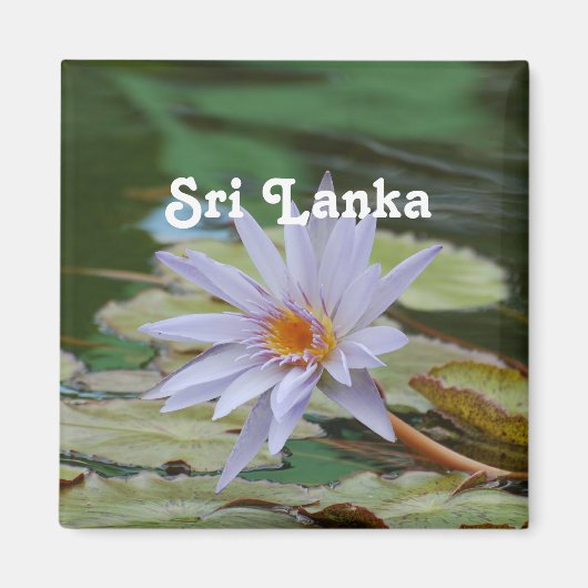 Sri Lanka Water Lily Magnet (Vorne)