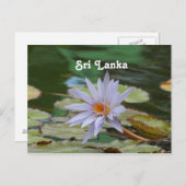 Sri Lanka Water Lily Postkarte (Vorne/Hinten)