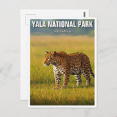Sri Lanka Yala National Park Travel Postkarte (Vorne/Hinten)