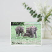 Sri-lankan-Elefanten Postkarte (Stehend Vorderseite)