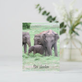 Sri-lankan-Elefanten Postkarte (Stehend Vorderseite)
