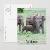 Sri-lankan-Elefanten Postkarte (Vorne/Hinten)