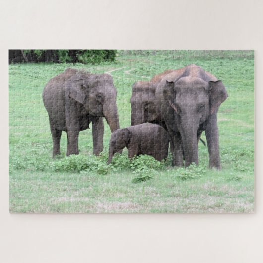 Sri-lankan-Elefantenfamilie Puzzle (Horizontal)