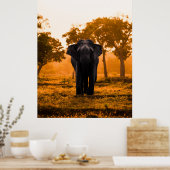 Sri Lankan Elephant bei Sunset Poster (Küche)
