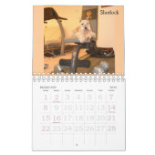 SRM-Kalender 2011 Kalender (Feb 2026)