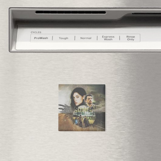 SRS-Magnet Magnet (In Situ (Geschirrspüler))