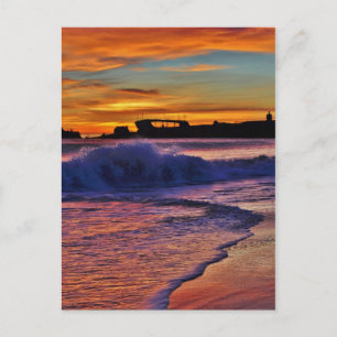 SS Palo Alto. Postkarte