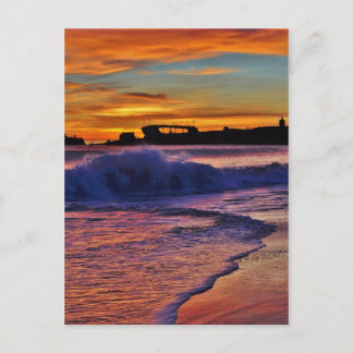 SS Palo Alto. Postkarte