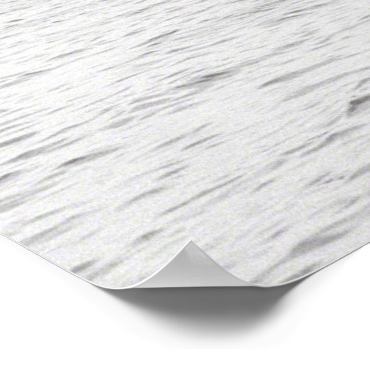 SS Rex Poster (Ecke)