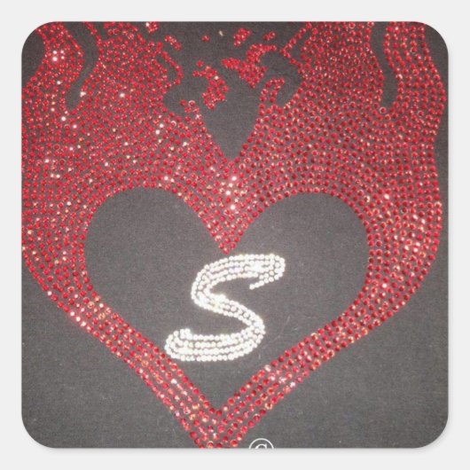 SSSC STICKERS (Vorderseite)