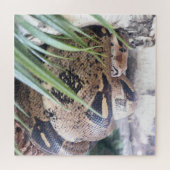 Sssnooze Puzzle (Horizontal)