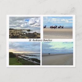 St. Andrews Scotland Beach, West Sands, Pferde Postkarte