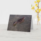 "St. Anthony Duck #2" Dankeschön Karte (Gelbe Blume)