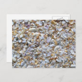 St. Augustine Beach Sand. Tiny Muscheln Florida Postkarte (Vorne/Hinten)