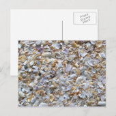 St. Augustine Beach Sand und Tiny Muscheln Postkarte (Vorne/Hinten)