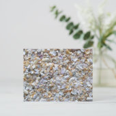 St. Augustine Beach Sand und Tiny Muscheln Postkarte (Stehend Vorderseite)