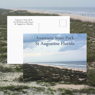 St Augustine FL Anastasia State Park Fotografisch Postkarte