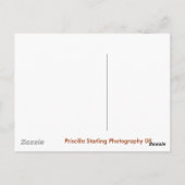 St. Augustine, FL. Postkarte (Rückseite)