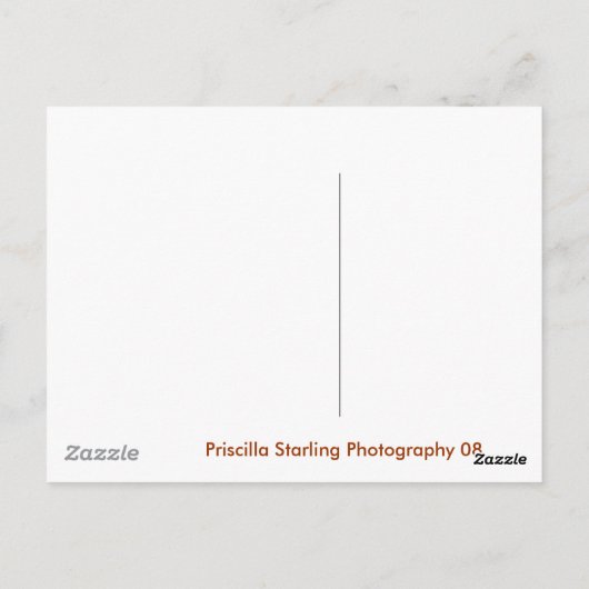 St. Augustine, FL. Postkarte (Rückseite)