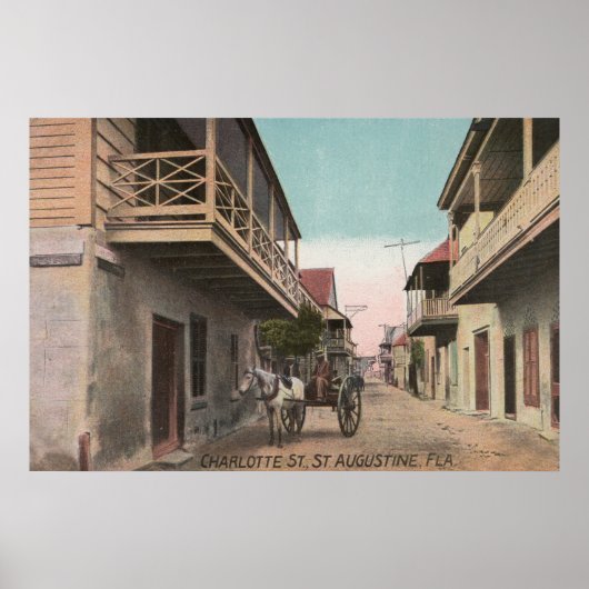 St. Augustine, Florida - Aussicht auf Charlotte St Poster (Vorne)
