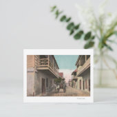 St. Augustine, Florida - Aussicht auf Charlotte St Postkarte (Stehend Vorderseite)