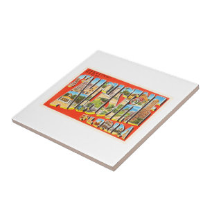 St. Augustine Florida FL Wanderung Fliese