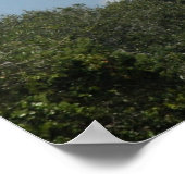 St Augustine Florida Lighthouse Poster (Ecke)