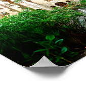 St Augustine Florida Lightner Museum Principe Art Poster (Ecke)