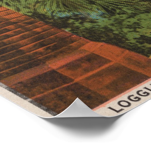 St. Augustine, Florida - Sicht auf das Hotel Ponce Poster (Ecke)