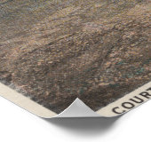 St. Augustine, Florida - Vogelauge von Ft. Mario Poster (Ecke)