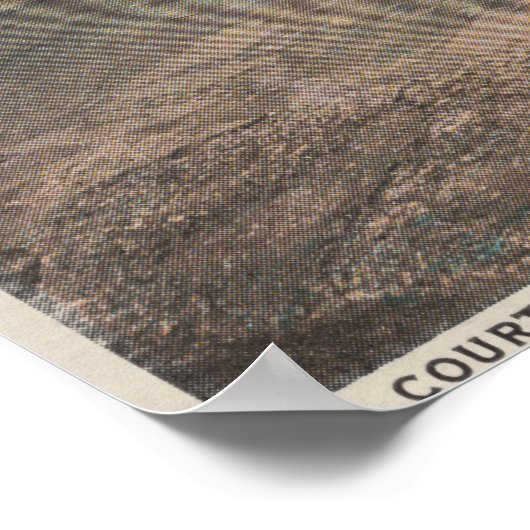 St. Augustine, Florida - Vogelauge von Ft. Mario Poster (Ecke)