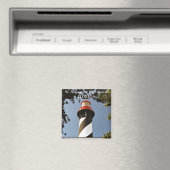 St. Augustine Leuchtturm, Florida Magnet (In Situ (Geschirrspüler))