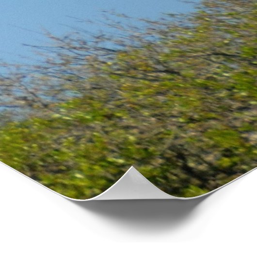 St Augustine Lighthouse Poster (Ecke)