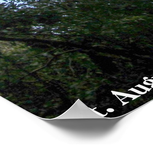 St. Augustine Lighthouse Poster (Ecke)