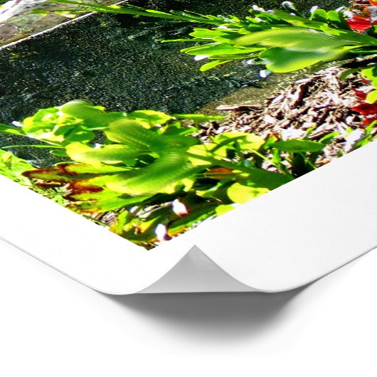 St Bernadette Kunstfotografie Poster (Ecke)