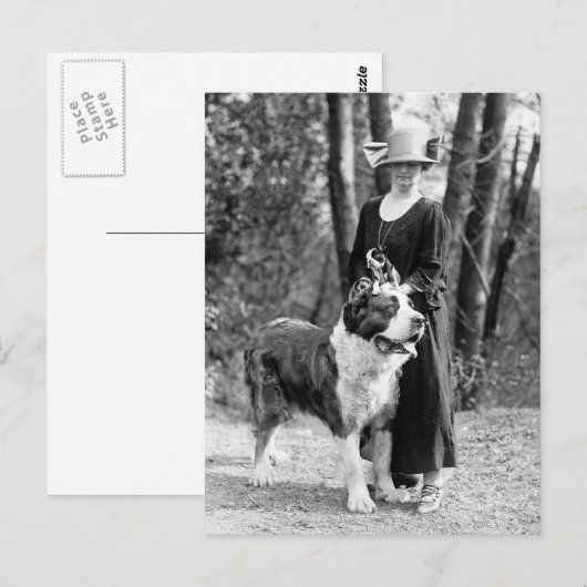 St Bernard & Boston Terrier, 1925 Postkarte (Vorne/Hinten)