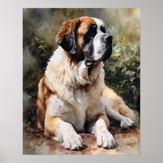 St. Bernard Dog Art Print Poster (Vorne)