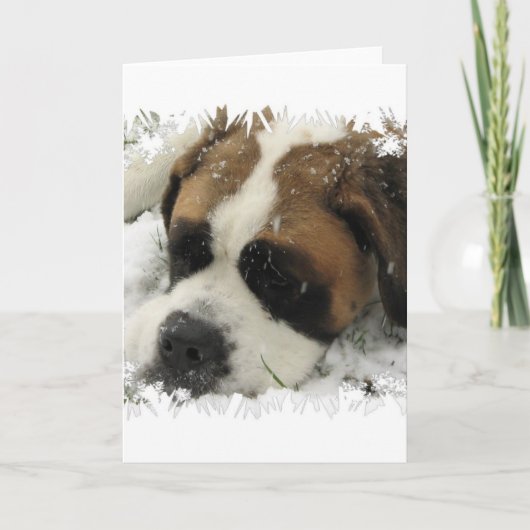 St Bernard Dog Grußkarte Karte (Vorderseite)